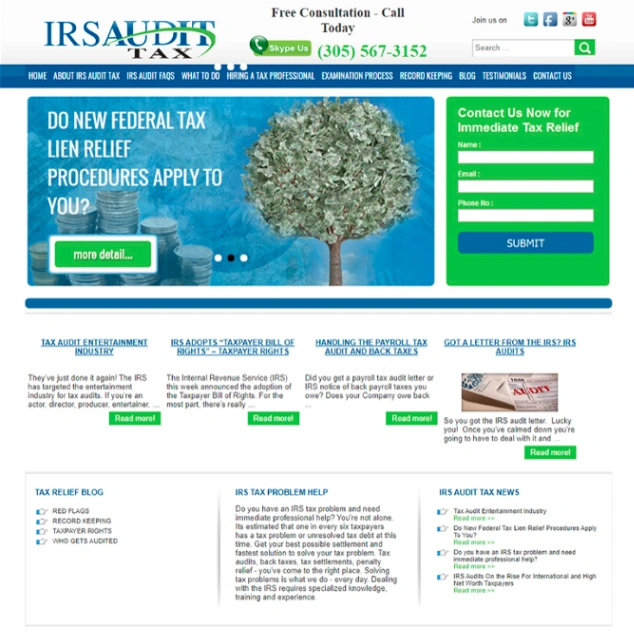 Irs Audit